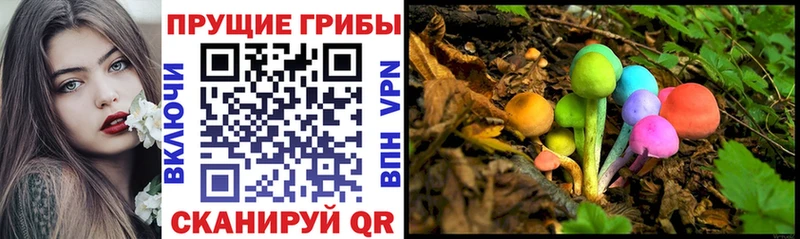 Галлюциногенные грибы прущие грибы  где продают   Шилка 